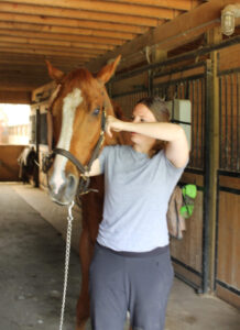 Kendra using TMJ therapy on horse